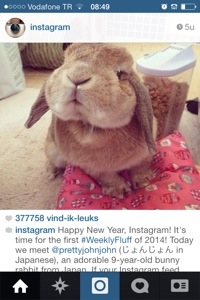instagram schattigheid als marketing