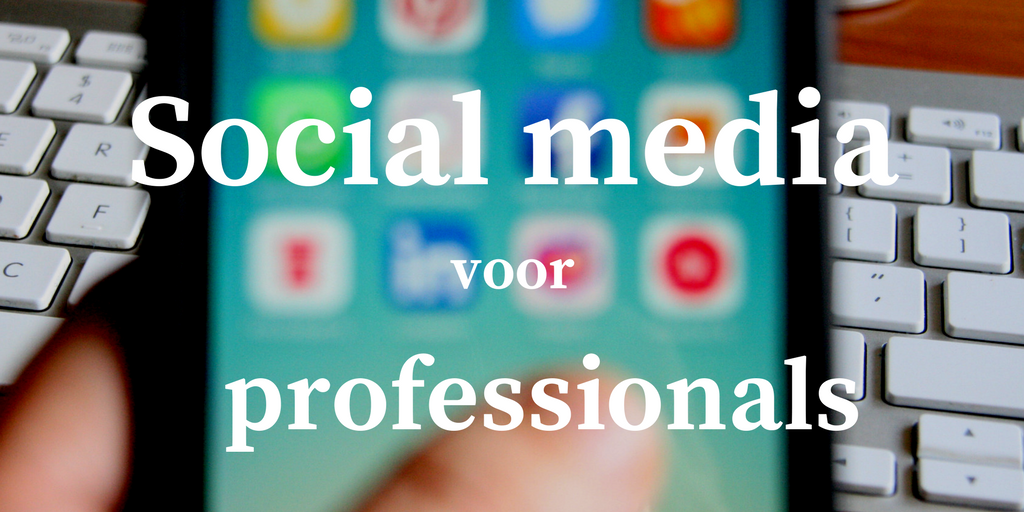workshop social media voor professionals